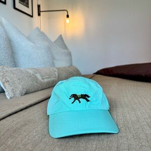 Smathers & Branson Performance Hat in Seafoam